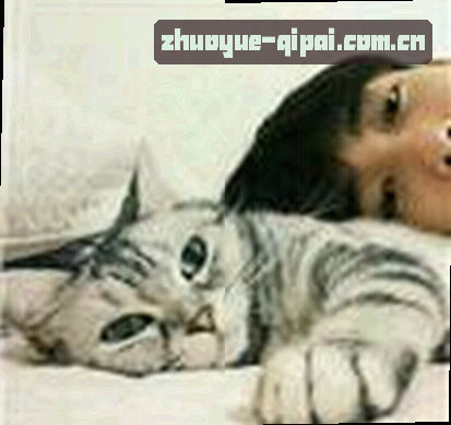 王姐